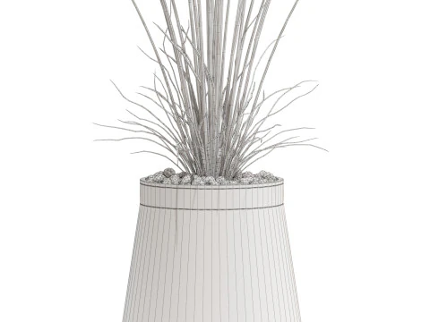 植物收藏 667 3D 模型