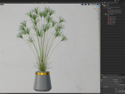 植物收藏 667 3D 模型