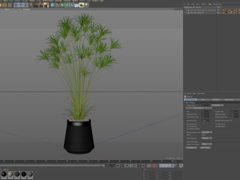 Plants collection 667 Model 3D