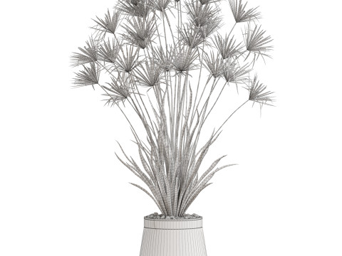 Plants collection 668 Model 3D