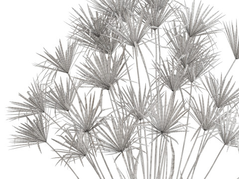 Plants collection 668 Model 3D