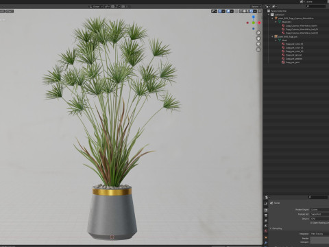Plants collection 668 Model 3D