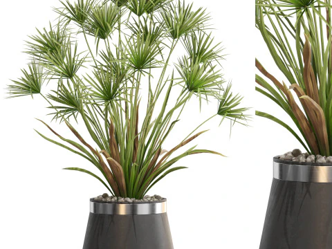 Cole&ccedil;&atilde;o de plantas 669 Modelo 3D