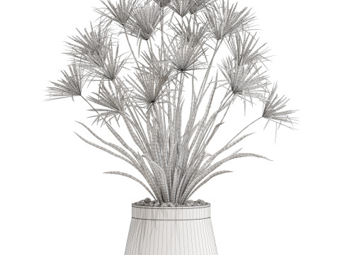 Plants collection 669 Model 3D