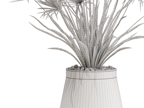 Plants collection 669 Model 3D