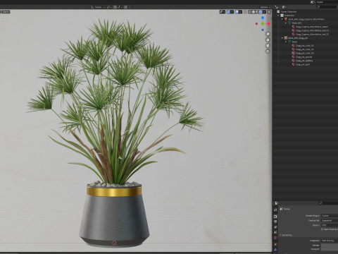 Plants collection 669 Model 3D