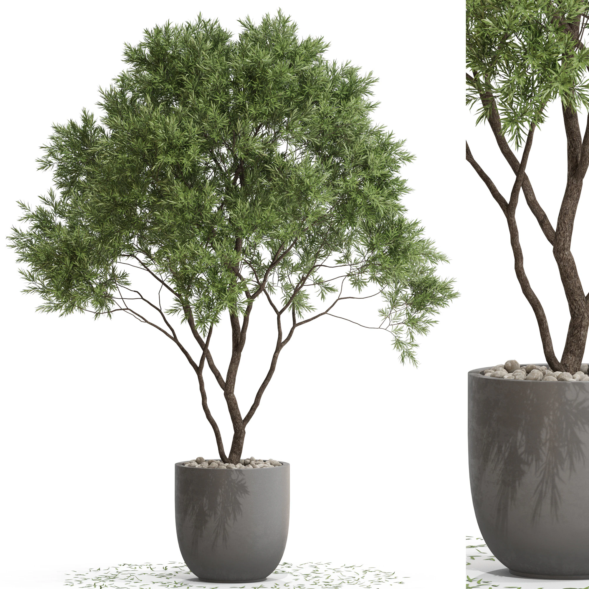 Plants collection 670 3D Model .c4d .max .obj .3ds .fbx .stl .blend 