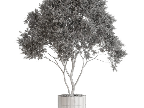 Plants collection 670 3D-Modell