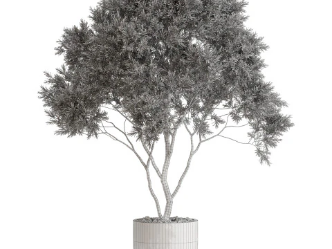 Plants collection 670 3D Model