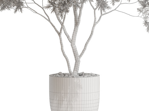 Plants collection 670 3D-Modell