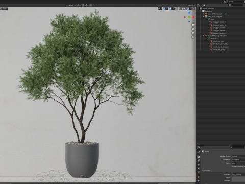 Plants collection 670 3D-Modell