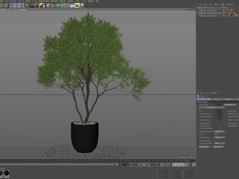 Plants collection 670 3D-Modell