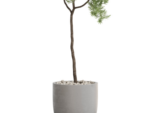 Plants collection 671 Modelo 3D