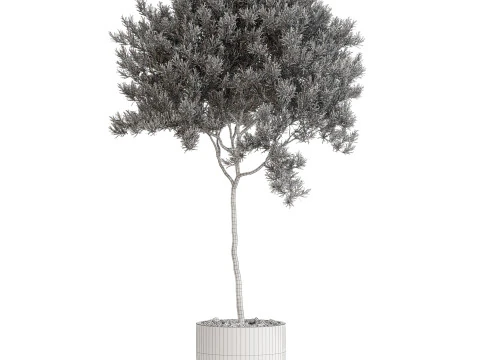 Plantencollectie 671 3D Model