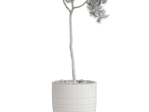 Plantencollectie 671 3D Model