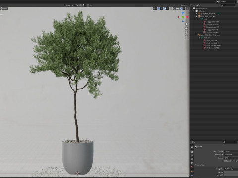 Plants collection 671 Modelo 3D