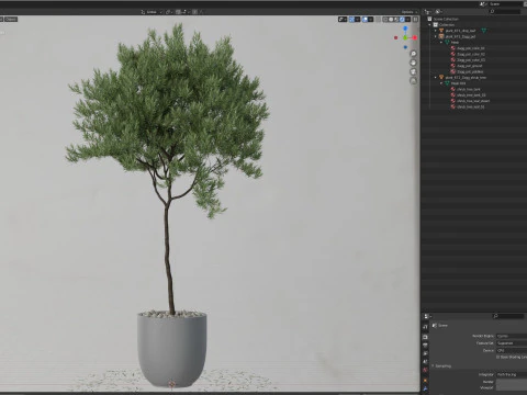 Plantencollectie 671 3D Model