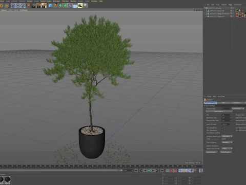 Plantencollectie 671 3D Model