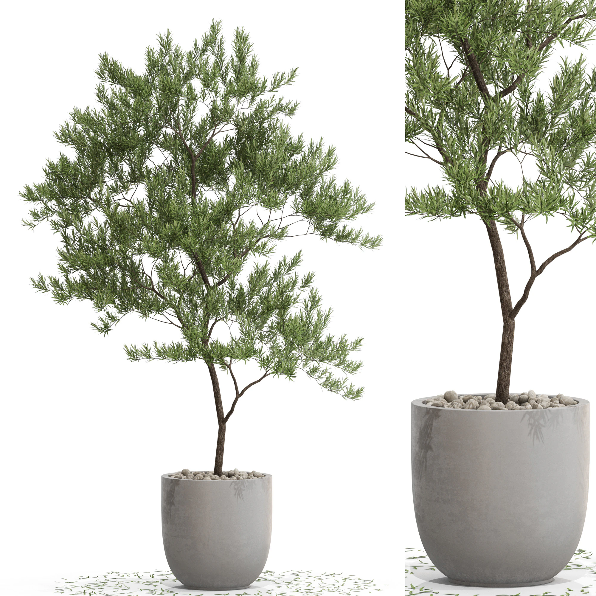 Bitki koleksiyonu 672 3D Model .c4d .max .obj .3ds .fbx .stl .blend 