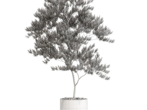 Bitki koleksiyonu 672 3D Model