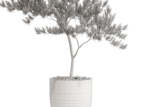Plants collection 672 Modello 3D