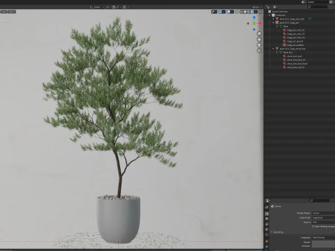 Bitki koleksiyonu 672 3D Model