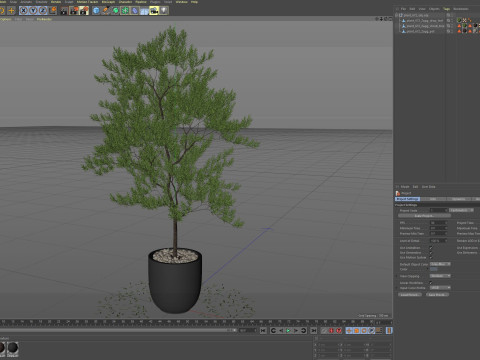 Plants collection 672 Modello 3D