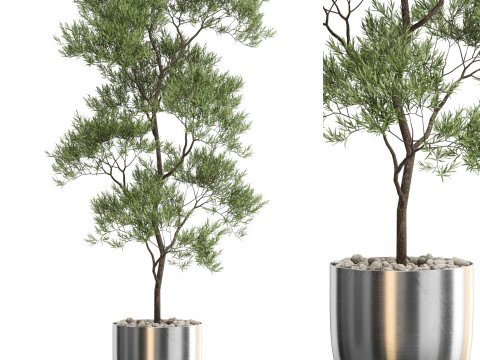 Plantencollectie 673 3D Model