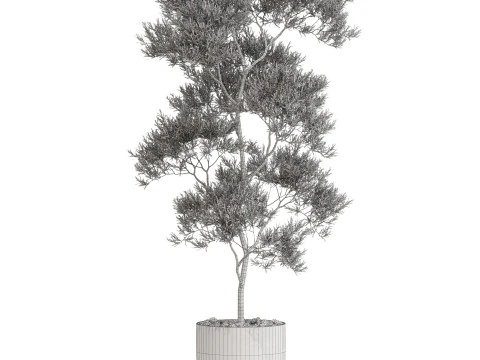 Bitki koleksiyonu 673 3D Model