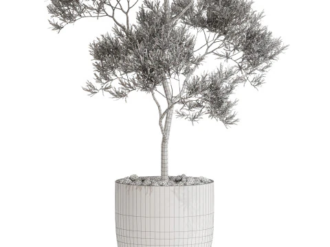 Bitki koleksiyonu 673 3D Model