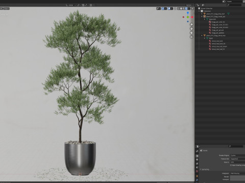Plants collection 673 Modèle 3D