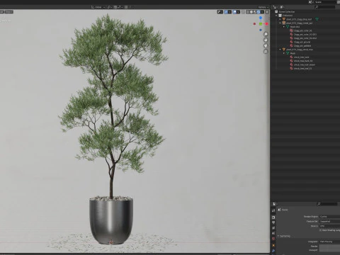 Bitki koleksiyonu 673 3D Model