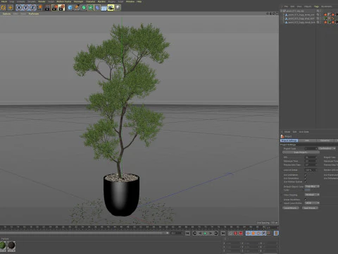 Bitki koleksiyonu 673 3D Model