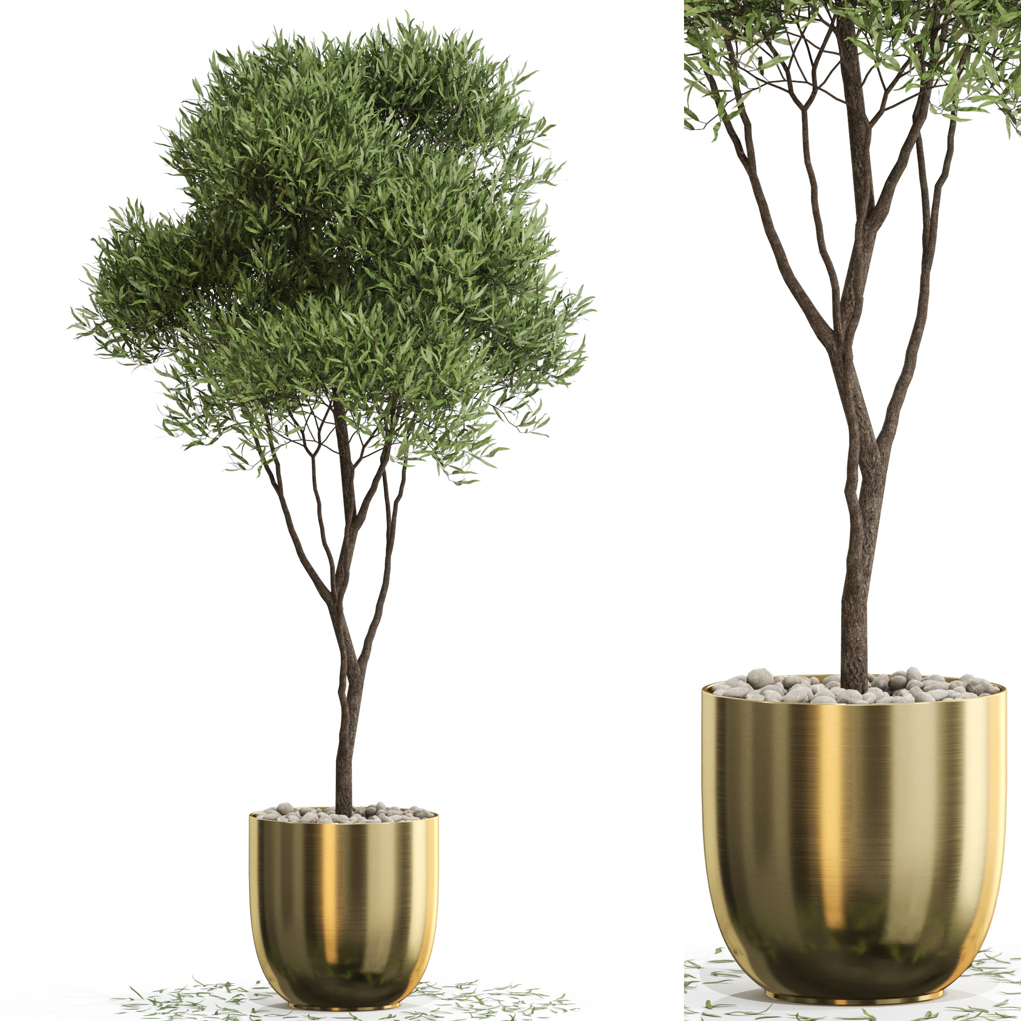 Plants collection 674 3D Model .c4d .max .obj .3ds .fbx .stl .blend