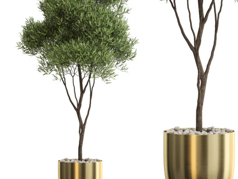 Plantencollectie 674 3D Model