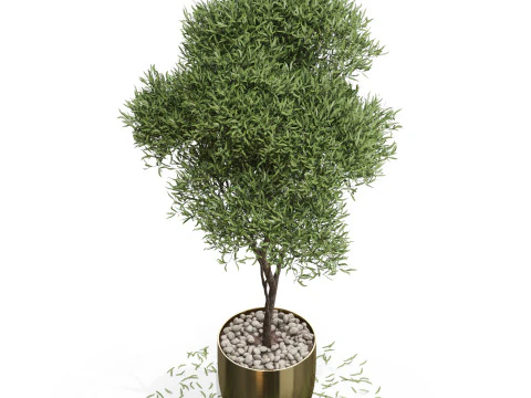 Plants collection 674 3D Model