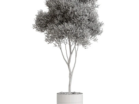 Plants collection 674 3D Model