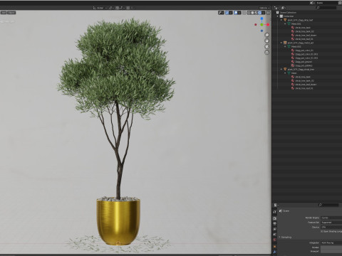 Plants collection 674 Model 3D