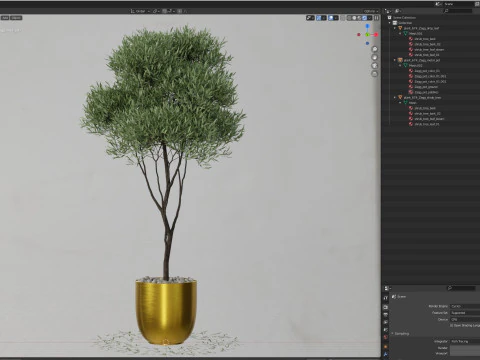 Plants collection 674 3D Model