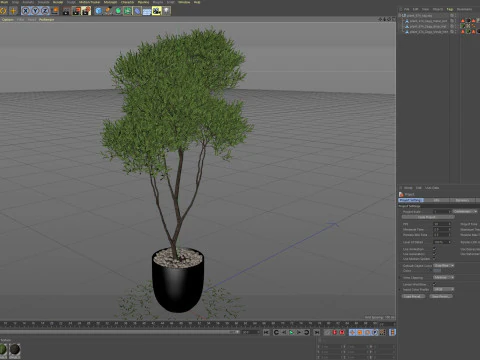Plants collection 674 3D Model