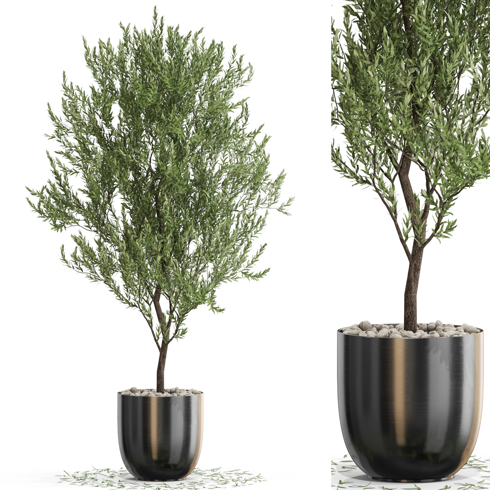 Plants collection 675 3D Model .c4d .max .obj .3ds .fbx .stl .blend 