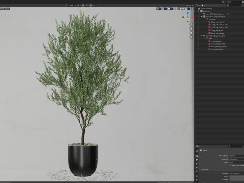 Plants collection 675 3D Model