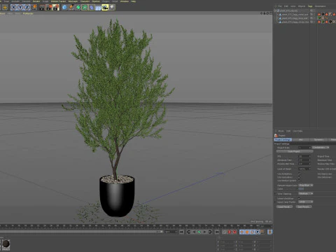Plants collection 675 3D Model