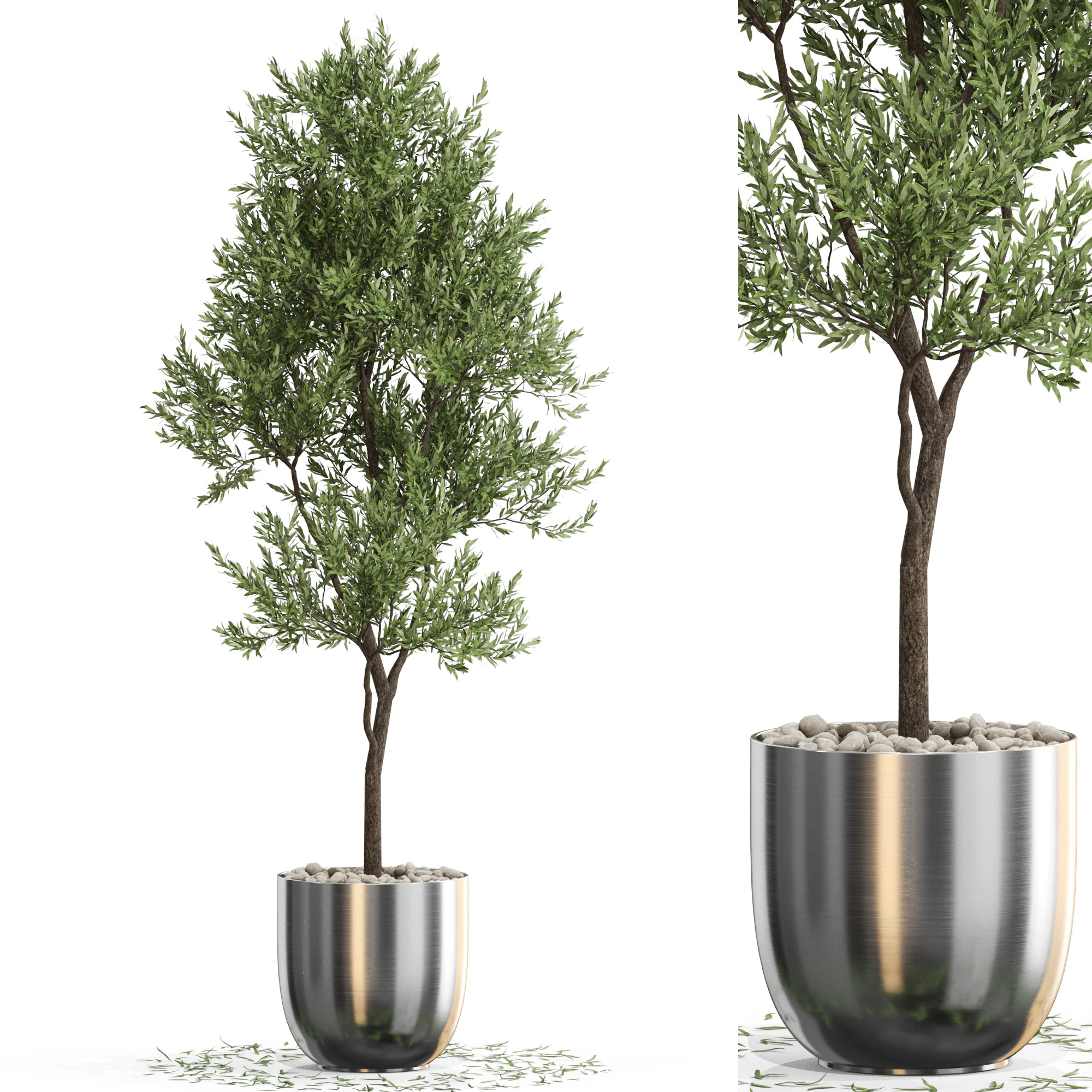 Plants collection 676 3D Model .c4d .max .obj .3ds .fbx .stl .blend 