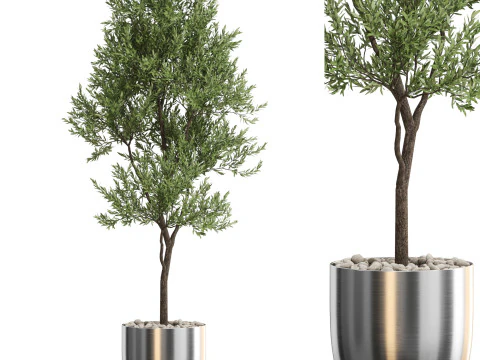 Plantencollectie 676 3D Model