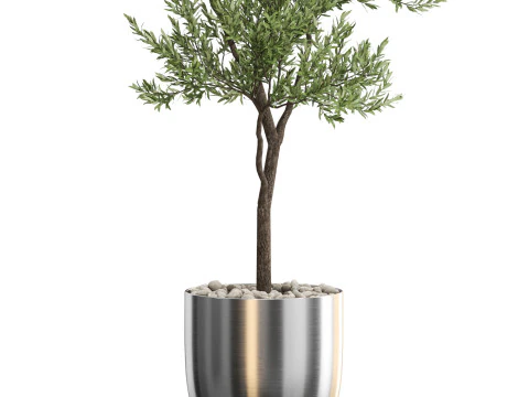 Plants collection 676 3D Model