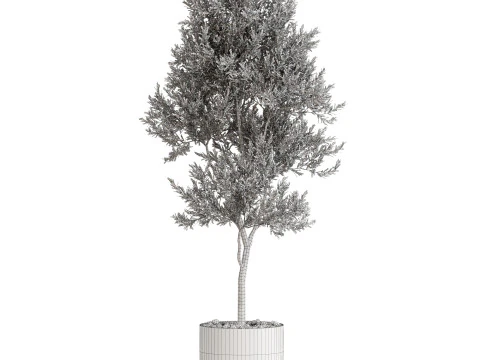 Plants collection 676 3D Model