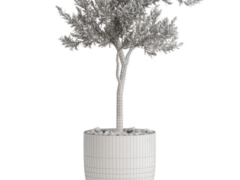 Plants collection 676 3D Model