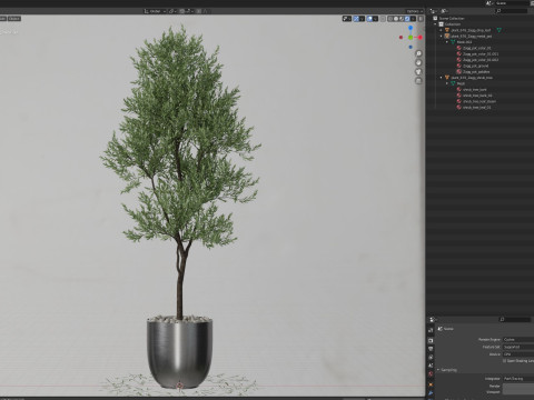 Plants collection 676 3Dモデル