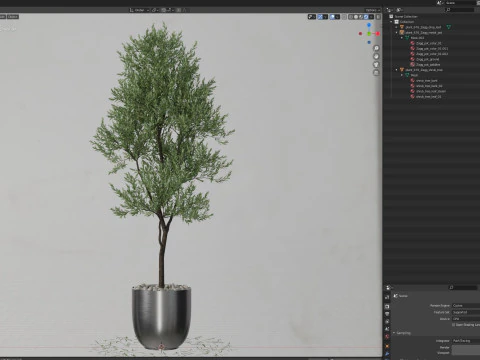 Plants collection 676 3D Model